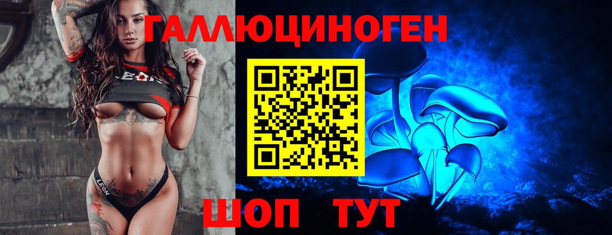 Псилоцибиновые грибы MAGIC MUSHROOMS  купить наркоту  Домодедово  Вход с VPN  Псилоцибиновые грибы GOLDEN TEACHER 